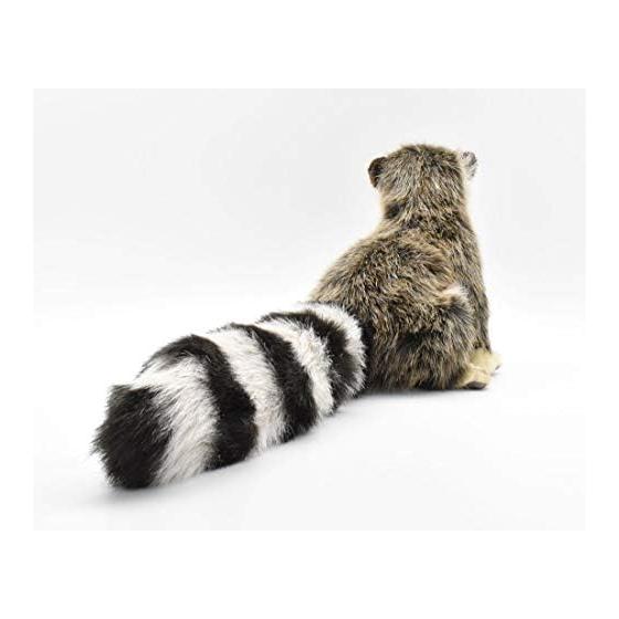 BH4248 HANSA Raccoon 25