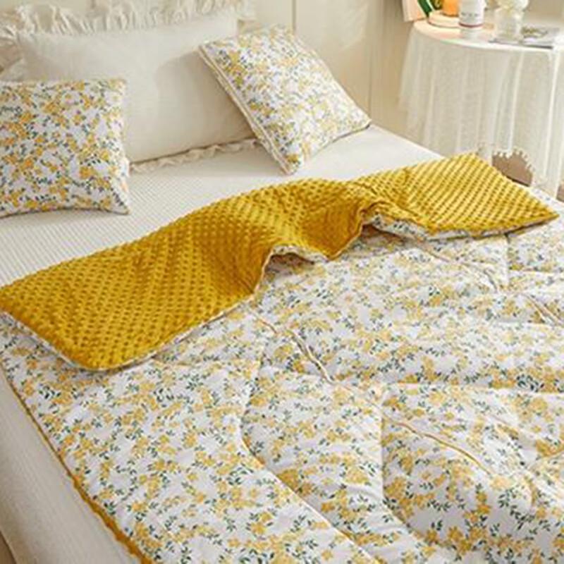 

Grace Minimalist Dot Velvet Cushion Blanket