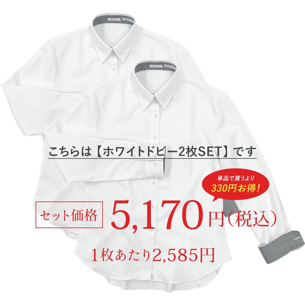 White Long Sleeve Dress Stretch Office Uniform White Dobby of HORIZON-GC Women's Shirt, No-Iron Blouse, (Size L, [Set 2])
