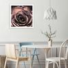 Canvas print Rose Flower Plant