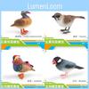 Lifelike Plastic Bird Figurines Including Duck Sparrow Finch And Tit Ideal For Indoor Decoration And Collectibles
