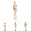 Wooden Human Artist Manikin Drawing Model Unisex Male Female Sketching Tool