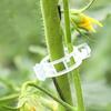 Yousheng 100 Pcs Plant Support Clips Plastic Gardening Clips for Securing Tomato Vine Reusable Plant Fixing Clips for Grape Climbing Plants Vegetables