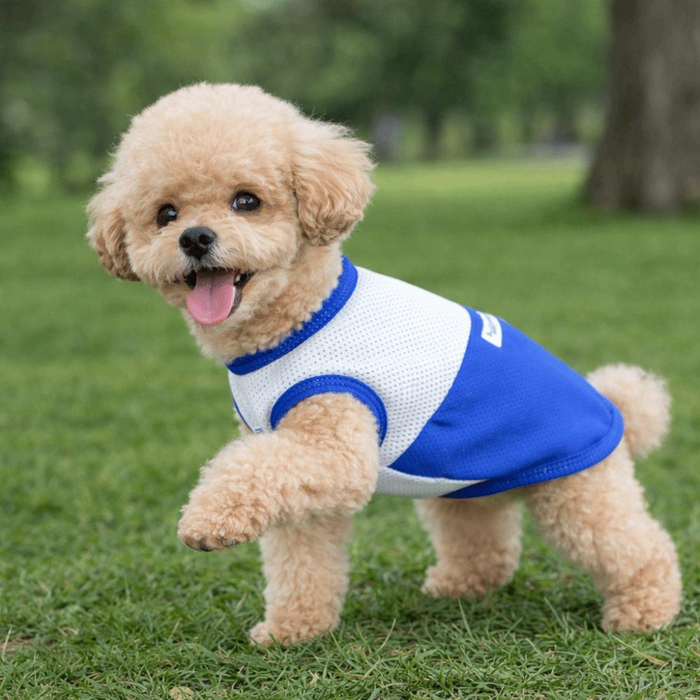 Lightweight Pet Mesh Vest Two-Tone Design Dog T-Shirt Fashion Summer Dog Clothing  Casual Outfit