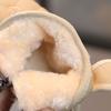 Baby Snow Boots Winter Cotton Shoes Baby Baby Toddler Shoes Baby Baby Shoes Korean Version Milk Tea Ears