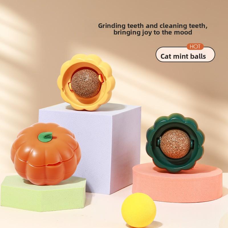 Kürbis-Leckerli, Glückliche Katze, Minz-Kugel, Katzenspielzeug, Zähneknirschen, Zahnpflege, Beißen, Langeweile vertreiben, Kätzchen, Kätzchen, Selbstunterhaltung