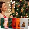 Capybara Advent Christmas 2025 2D Acrylic Decorations 24 Days Capybara Ornament Countdown Calendar for Home Living Room Family