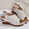 Fashion Hollow Out Wedge Sandals for Women Summer 2025 Chunky Platform Rome Shoes Woman Plus Size Vintage High Heels Sandles Female 43