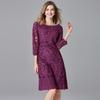 Versatile Plus Size Lace Embroidery Dress for Spring & Autumn