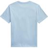 Polo Ralph Lauren Cotton Round Neck Embroidered Short Sleeve T-Shirt Kids tops 323832904-509