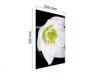 GLAS-SCHNEIDEBRETT 35x52 ORCHIDEE