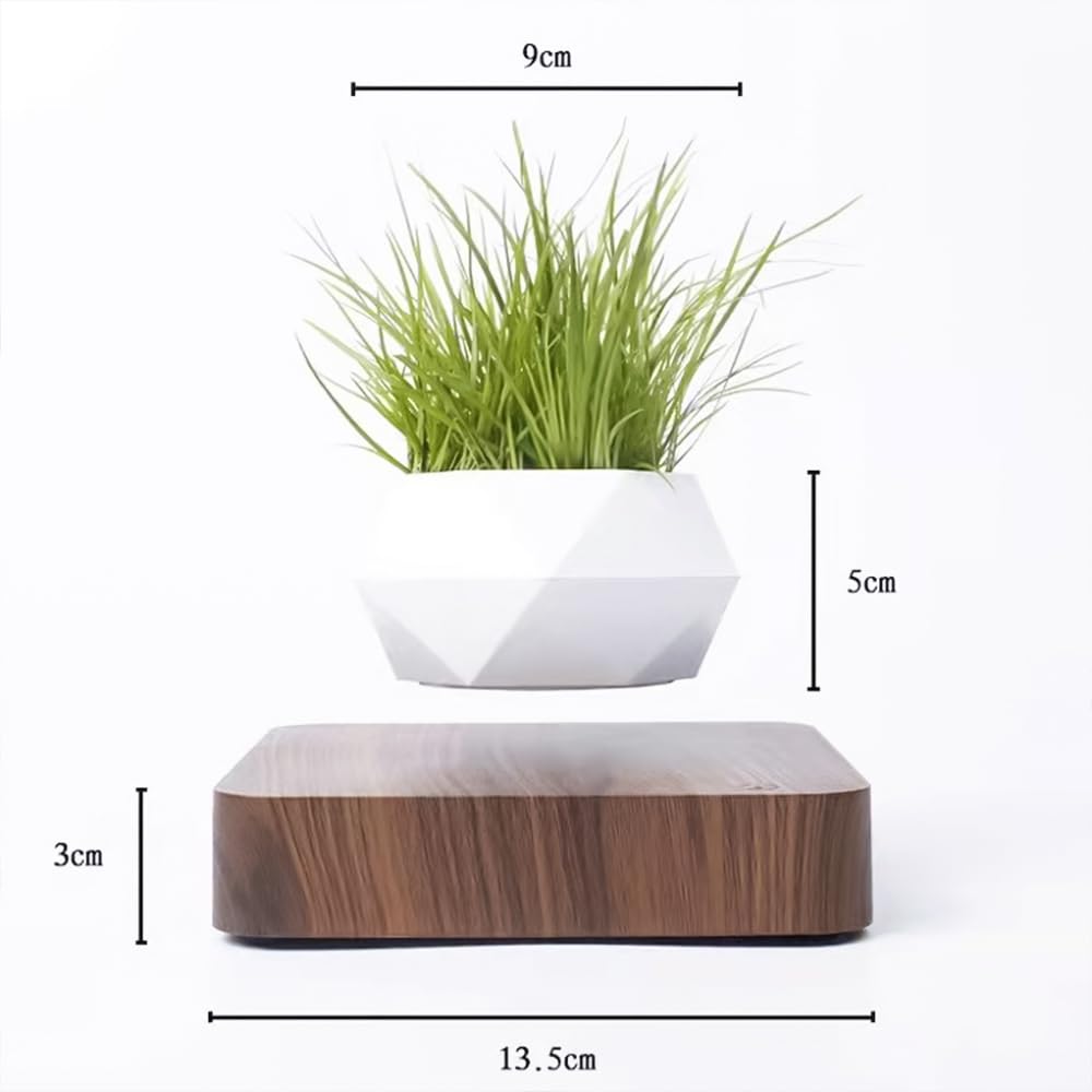 FGY Floating Bonsai Planter, Houseplant, Magnetic Levitation, Potted Plant, Decorative Wood Grain, Floating Interior (Oak)