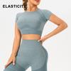 Women's Seamless Yoga Set: Short Sleeve Fitness Top & Butt Lift Leggings