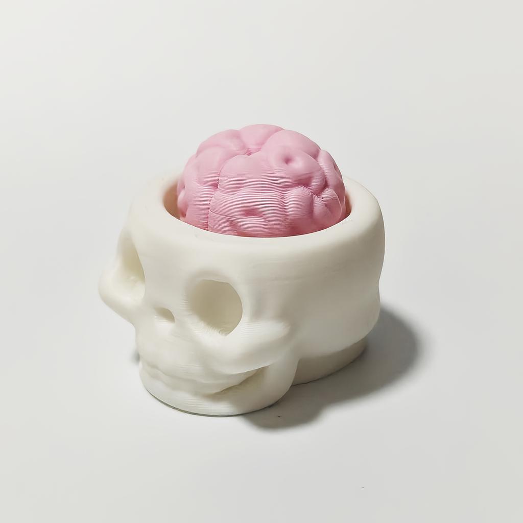 Squeezable Brain & Skull Replica, Soft Realistic Psychology Model with Expressive Eyes, Halloween Neuroscience Gift