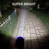 10-Pack Professional Outdoor Mini Flashlights Set, Super Bright 100 Lumen LED