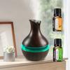 Diffuser Voor Thuis 2-in-1 Luchtbevochtiger Oliediffuser USB-Powered voor Huis Kantoor Yoga Bevat 2 Essentiële Oliën