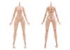 Aoshima Bunka Kyozai Kemonopla Human Parts Set ABS Plastic Model (AOSHIMA) No. KO-01R [Color A] Non-Scale, Approx. 135mm, & PVC, Pre-Colored