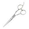 DEEDS XXA Scissor Thinning Set Thinning Rate Approximately by Japanese Scissors for Hairdressers and Haircutters (5.5 Inches, 25%) Manufacturer,