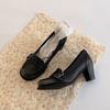 Thick Heel Loafers European 100-buckle Year-old High Heel Mary Jane Small Leather Shoes with Skirt