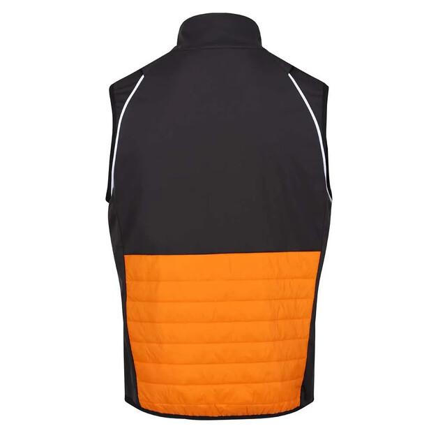Regatta Steren Hybrid Softshell-Jacke