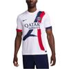 Nike Paris Saint-Germain 2025/26 Stadium Away Men's Nike Dri-FIT Soccer Replica Jersey Fn8781-101