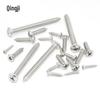 304 Stainless Steel Phillips Pan Head Self-Tapping Screws
