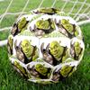 Shrek Theme Size 5 Soccer Ball, Suitable for Both Indoor and Outdoor Matches, a Gift Suitable for Everyone.