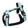 Big dog chest and back anti-break-free I-shaped dog walking leash Comfortable, breathable, wear-resistant, explosion-proof and non-neck leash