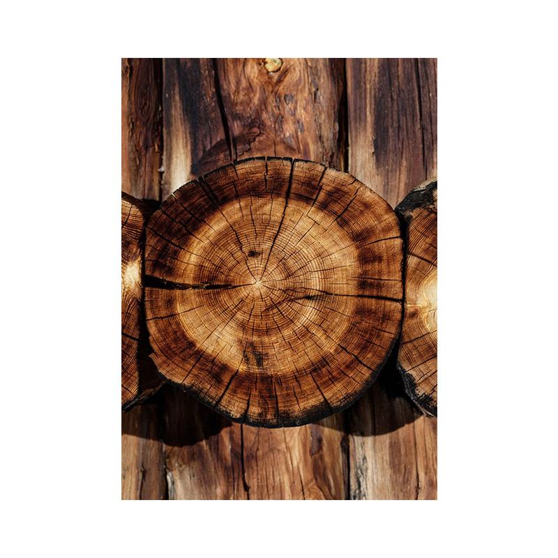 

Деревянный ствол дерева, фото на холсте, современная природа, настенное искусство, кольцо роста, узор, постер для гостиной, домашний декор, Cuadros 40x50cm No Framed