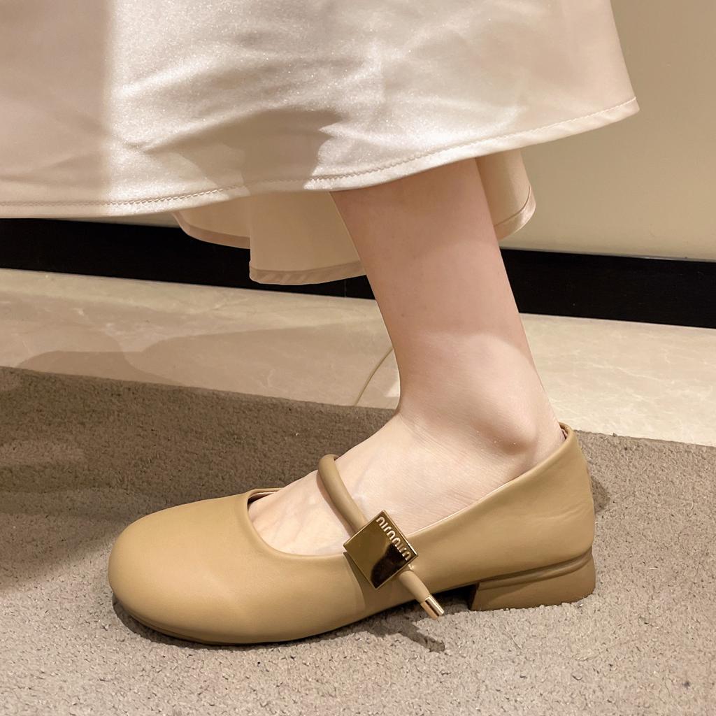 Mary Jane Shoes Women's Thick Heel Single Shoes Women's Spring and Autumn New French Gentle Wind with Skirt Shallow Mouth Soft Sole Women's Shoes