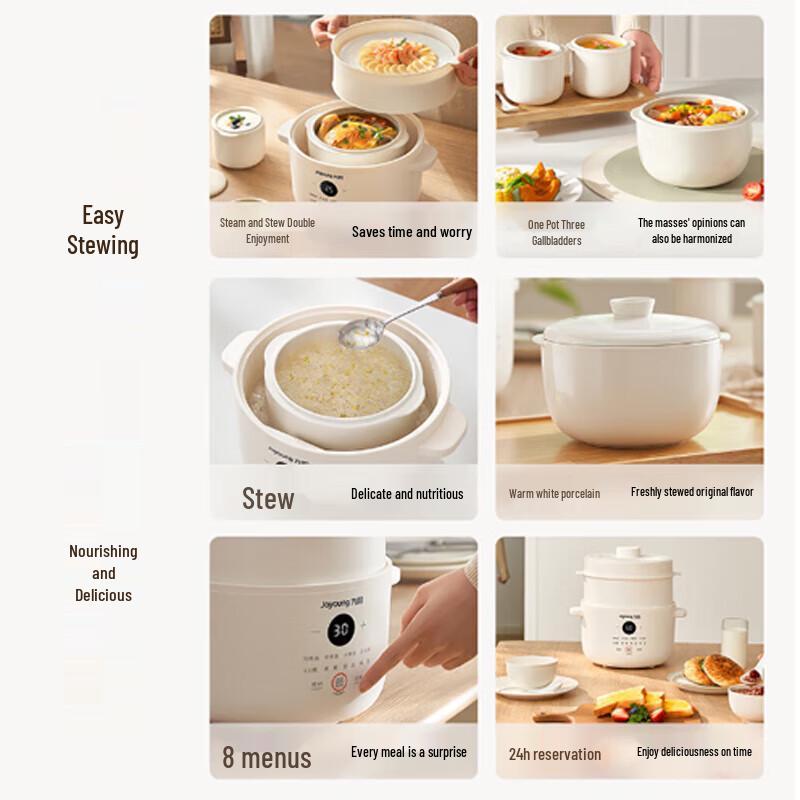 Joyoung Electric Stew Pot & Steamer CN plug (adapter included)