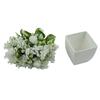 Fake Potted Plant Artificial Bonsai Garden Bedroom Lively Plastic 15*16cm 19 Mesh Beautiful Courtyards Families