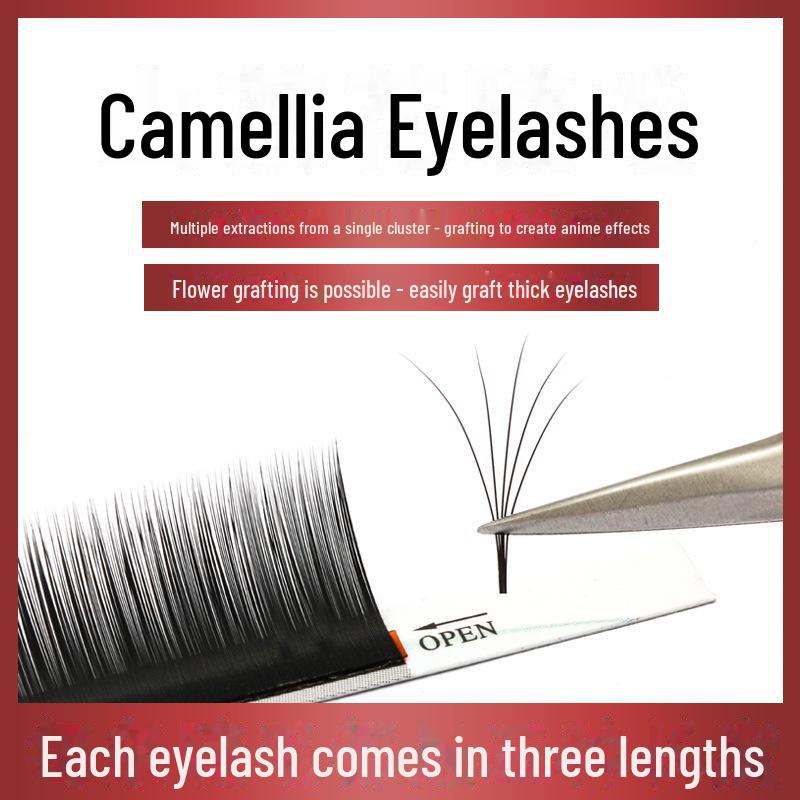 Natural Thick Camellia Eyelash Extensions - Fast Blooming Chinese False Eyelashes