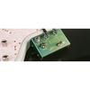 JOYO R-11 BAATSIN Overdrive/Ditition Pedal