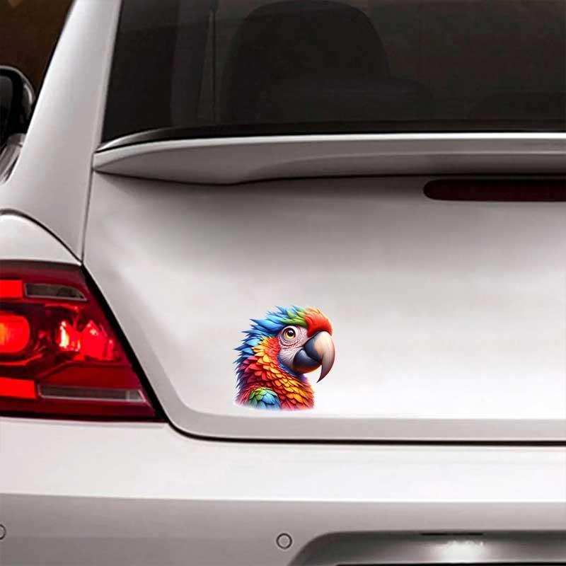 Cute Parrot Bird Art Car Stickers Waterproof Vinyl Decals Auto Body Window Bumper Decor Motorcycle Helmet Stickers TM310