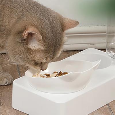 Futternapf für Haustiere, automatischer Futternapf für Hunde und Katzen, mit Wasserspender, Doppelnapf zum Trinken, erhöhter Ständer, Schüsseln mit Heimtierbedarf
