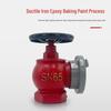Indoor Fire Hydrant Valve SN65 Firefighting Accessory