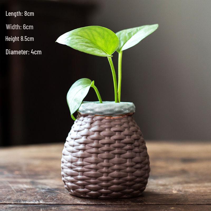 Stylish Ceramic Pothos Hydroponic Flower Pot Vase for Home Decor