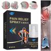 Back Muscle Joint Knee Pain Relief Aches Instant Freeze Spray Freeze Spray Relief Extra Strength Health Body