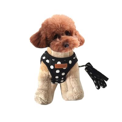 Cani – Collari e guinzagli per cani