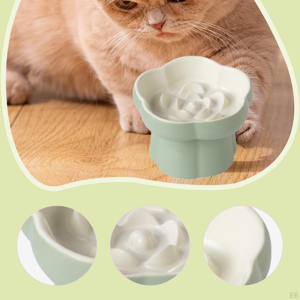 Erhöhte Katzennapf Langsamfresser Keramik für kleine Hunde Trocken- und Nassfutter Niedlich Passend Spülmaschinenfest Fressen