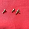 CASIO early screws for bezel fixing set of gold-colored G-SHOCK screws, 4. Fits DW-6600, DW-6900, DW-5900