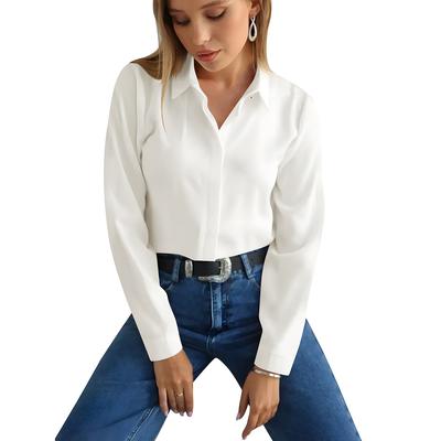Spring and Autumn Women's Shirt Hidden Button Diamond Button Long Sleeve Office Shirt