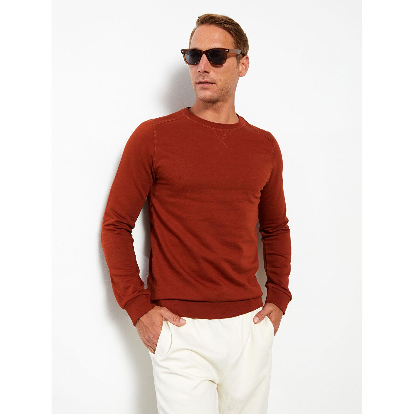 

Мужская толстовка с круглым вырезом и длинными рукавами коричневого цвета