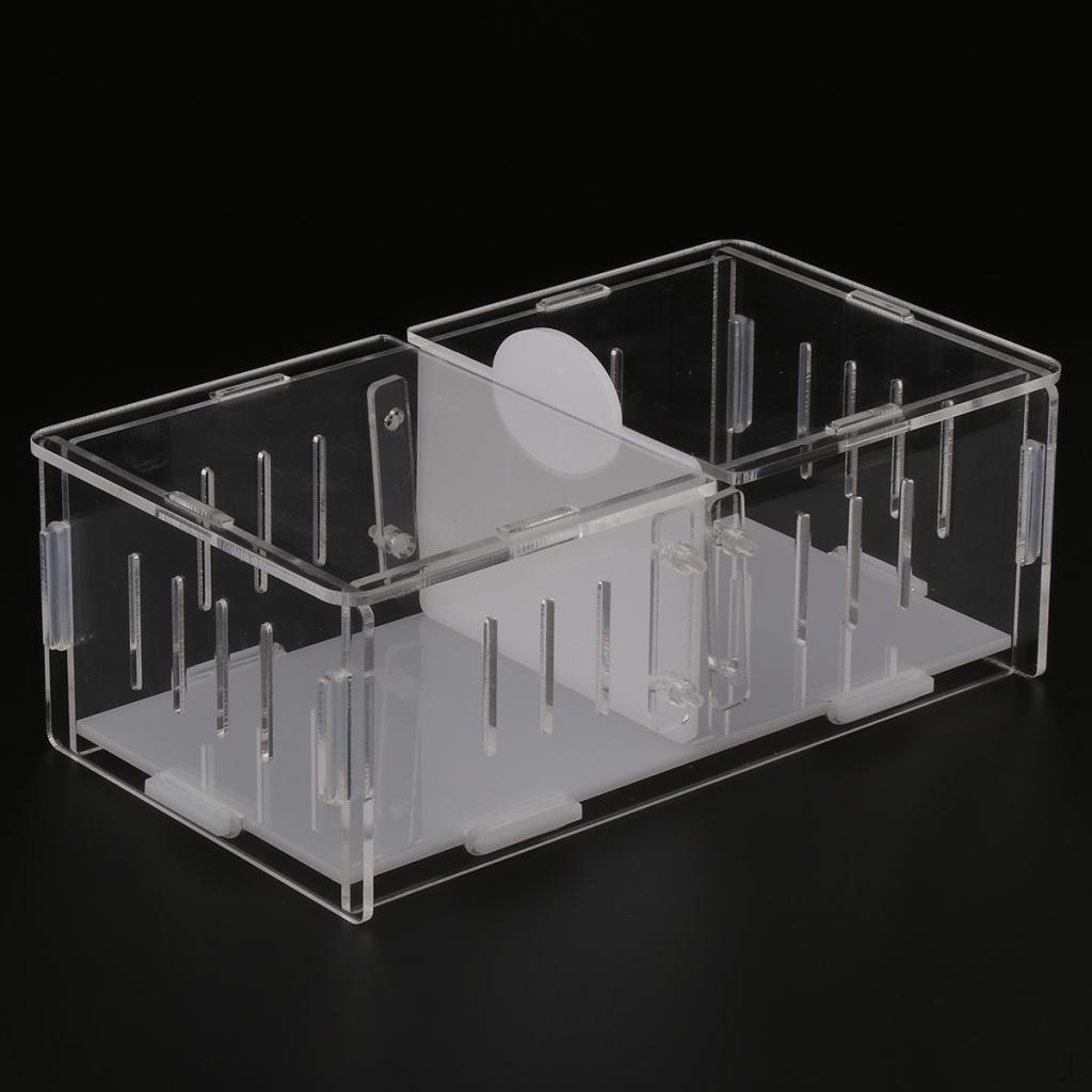 Acrylic Feeding Box for Frog Turtle