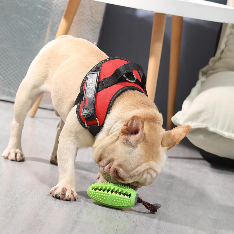 Pet Dog Chew Toys Teeth Cleaning Snack Ball Pet Dog Toy Ball Natural Rubber Super Tough Interactive Bouncy Pets Supplies