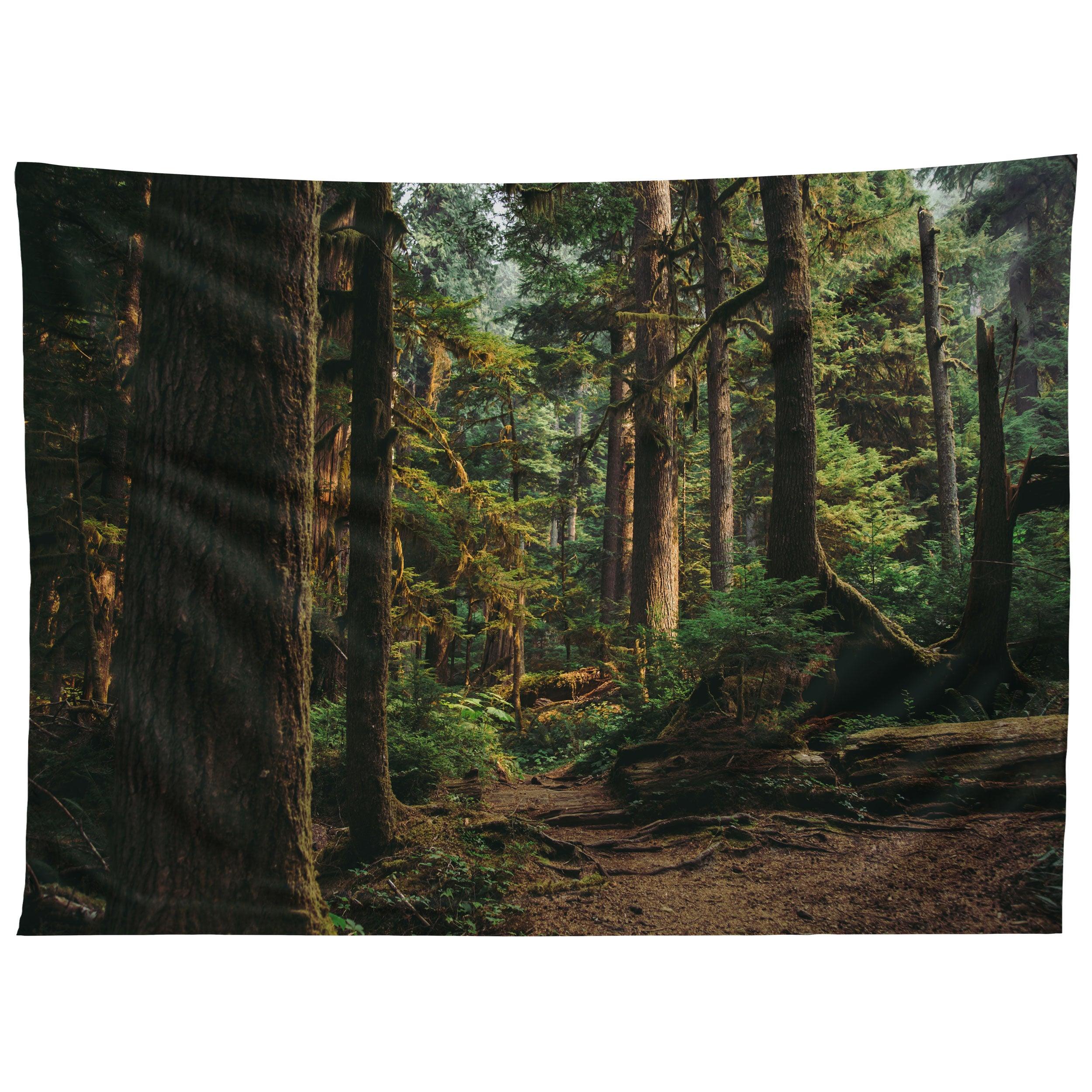 WOODLAND LANDSCAPE II tapestry 75x100