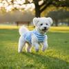 Round Neck Dog Cooling Vest Soft Fabric Pet Striped T-Shirt Dog Summer Clothes  Photography
