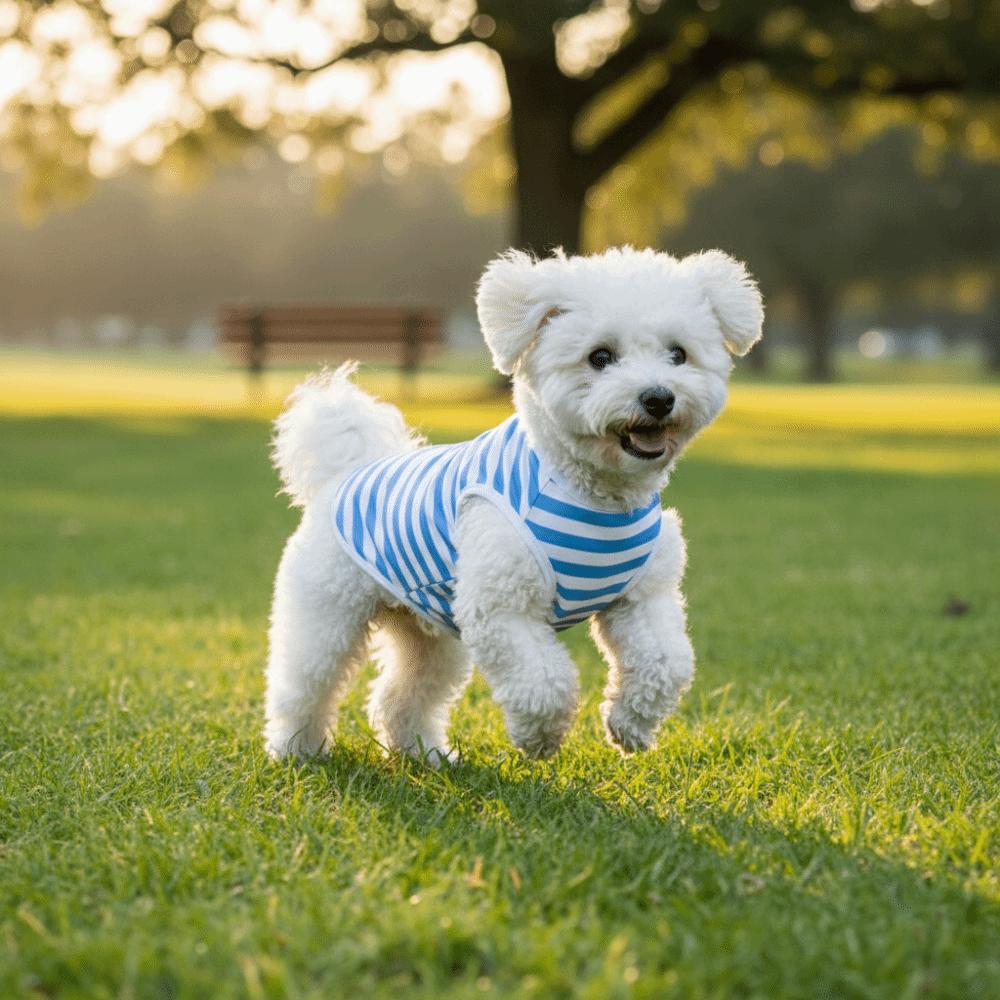 Round Neck Dog Cooling Vest Soft Fabric Pet Striped T-Shirt Dog Summer Clothes  Photography