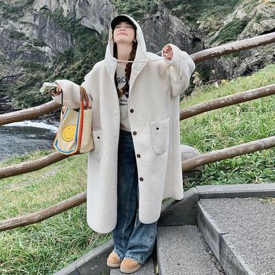 New Autumn and Winter Long Hooded Lamb Wool Coat for Women Loose Large Size Fur One-piece Coat